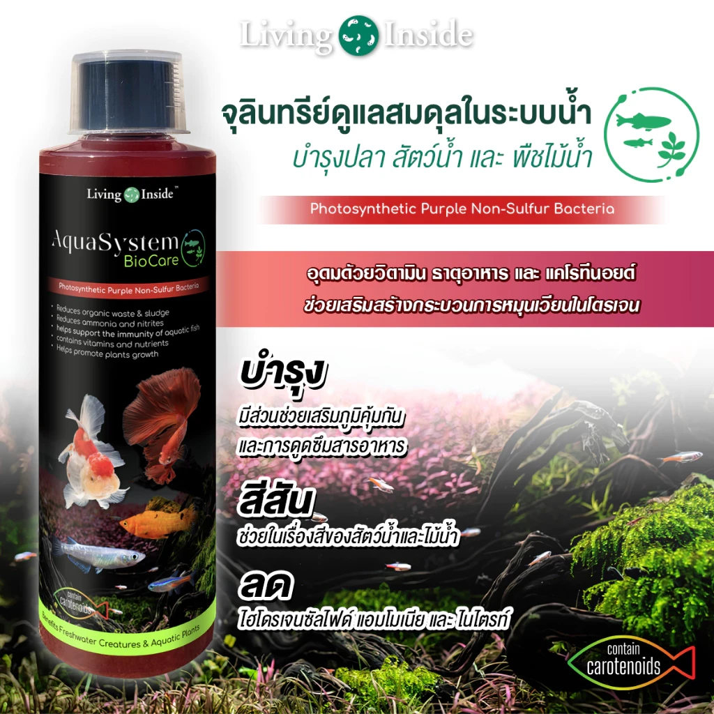 5 เหตุผลที่คุณควรเลือกซื้อ "จุลินทรีย์ดูแลสมดุลในระบบน้ำ อ่างปลา ตู้ไม้น้ำ บำรุงปลา บำรุงต้นไม้น้ำ สังเคราะห์แสง PSB สารสกัดจากยีส" (อัปเดท 2025)