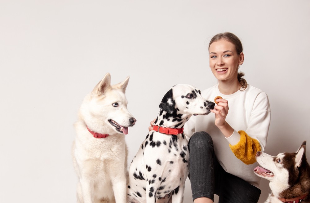 5 เรื่องที่คุณควรรู้ ถ้าคุณกำลังเป็น “พ่อแม่เลี้ยงเดี่ยวของน้องหมา” (อัปเดท 2025)