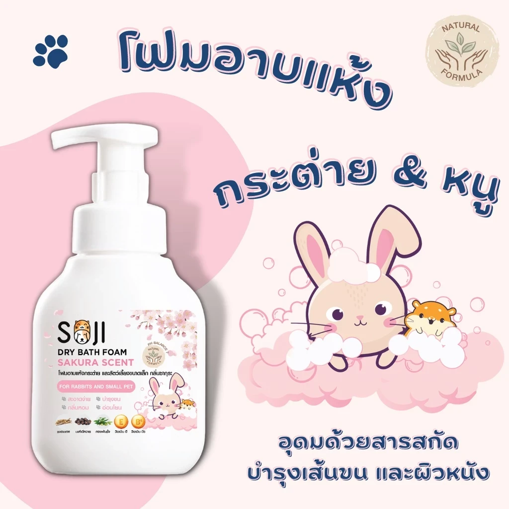 5 เหตุผลที่คุณควรเลือกซื้อ SOJI โฟมอาบน้ำแห้ง (อัปเดท 2025)