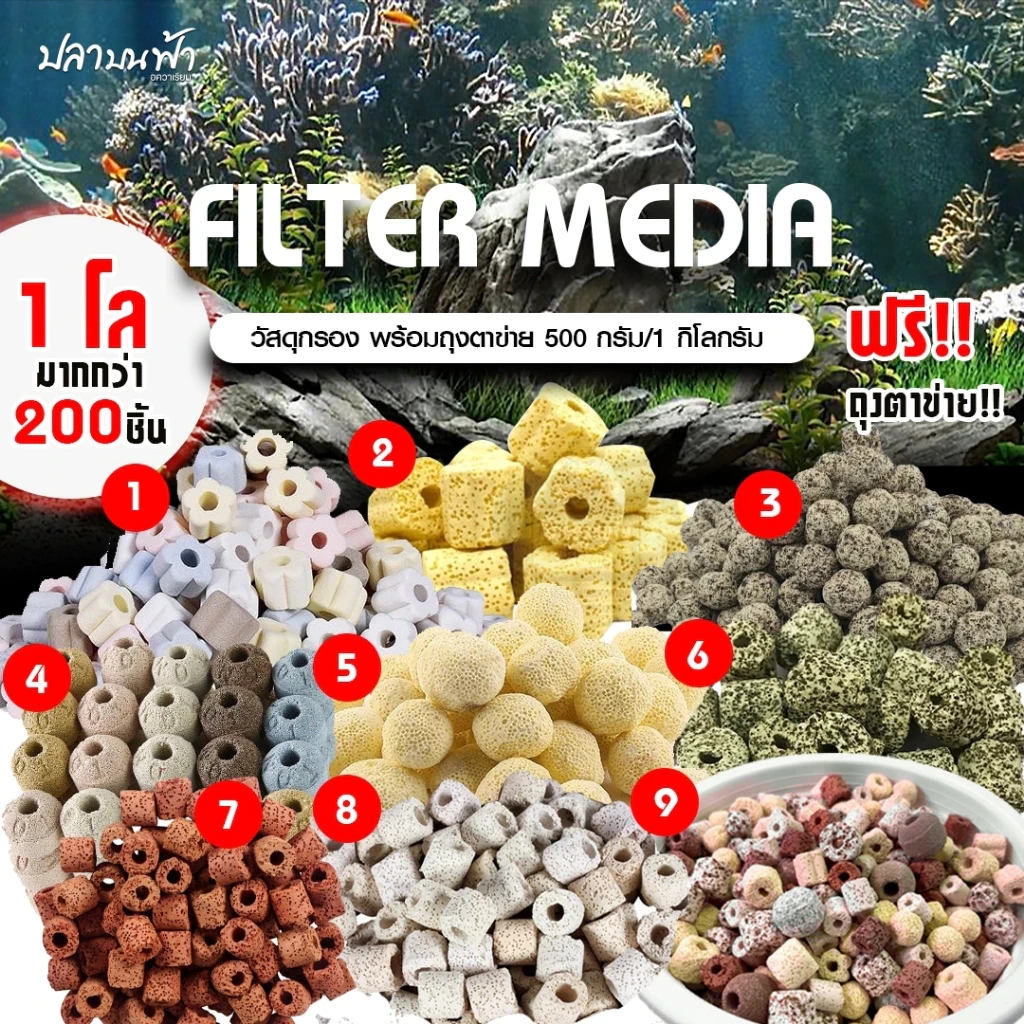 5 เหตุผลที่คุณควรเลือกซื้อ "หินดูดกลิ่นตู้ปลา​ หินกรองตู้ปลา Ceramic Ring เซรามิคริงค์ สำหรับกรองน้ำบ่อปลา มีรูพรุน/ผิวเรียบ" (อัปเดท 2025)