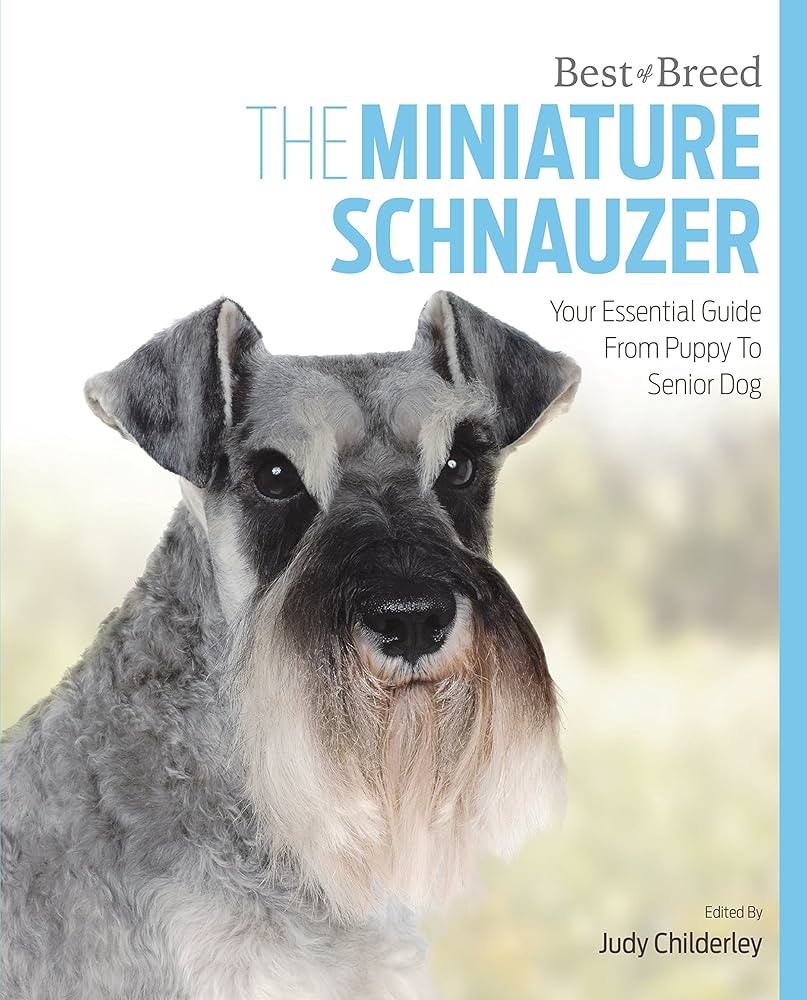 5 เรื่องที่คุณควรรู้ "หมาหนวดเฟี้ยว หน้าตาขรึมแต่ขี้เล่นสุดๆ" (อัปเดท 2025)