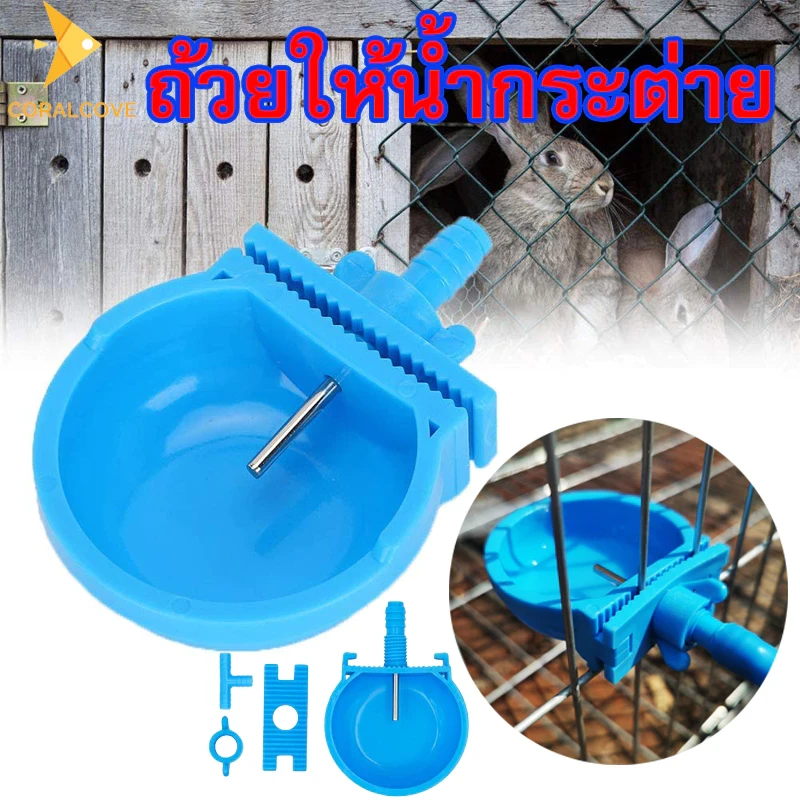 5 เหตุผลที่คุณควรเลือกซื้อ Coralcoveshop ถ้วยให้น้ำกระต่าย (อัปเดท 2025)