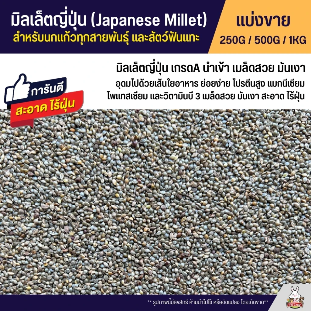 5 เหตุผลที่คุณควรเลือกซื้อ "มิลเล็ตญี่ปุ่น Japanese Millet เกรดA อาหารนกแก้ว และสัตว์ฟันแทะ สะอาด ร่อนฝุ่นทุกถุง" (อัปเดท 2025)