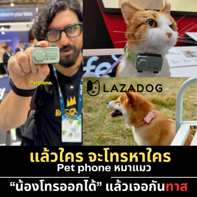 PetPhone หมาแมว-สมาร์ทโฟนสำหรับสัตว์เลี้ยง MWC 2025 : Lazadog.com (อัปเดท 2025)