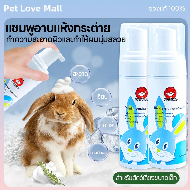 5 เหตุผลที่คุณควรเลือกซื้อโฟมอาบน้ำกระต่าย (อัปเดท 2025)