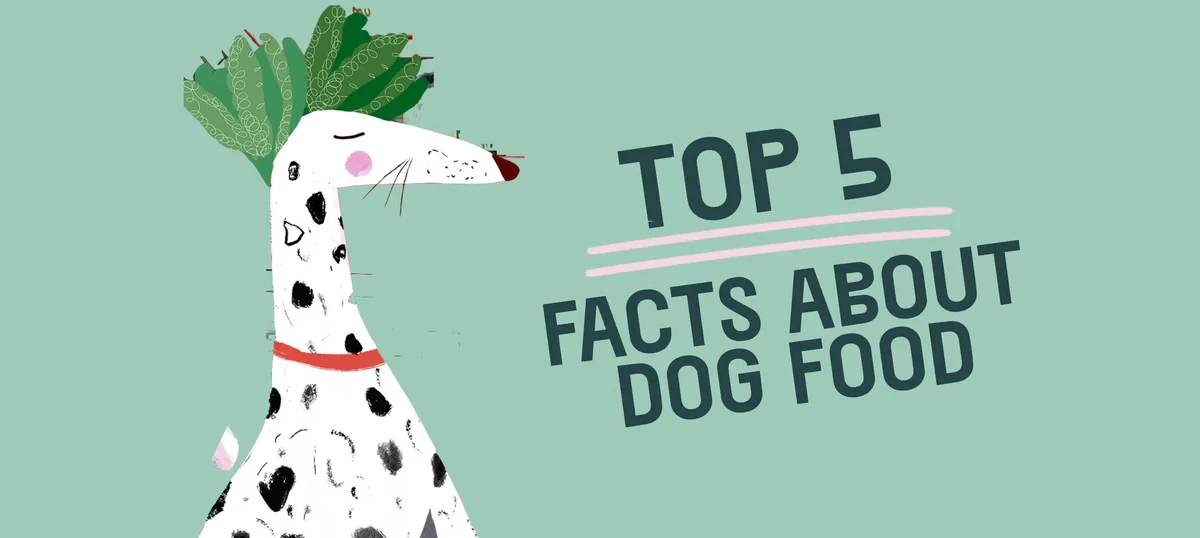 5 เรื่องน่าตกใจเกี่ยวกับ “อาหารสุนัขรักษ์โลก” ที่คุณไม่เคยรู้มาก่อน (อัปเดท 2025)