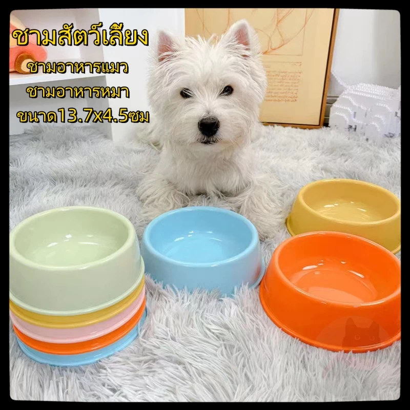 ชามอาหารแมว/หมา เดี่ยว ขนาด14x5.5ซม อาหารสัตว์เลี้ยง ทรงกลม สีสันน่ารัก น้ำหนักเบา (อัปเดท 2025)