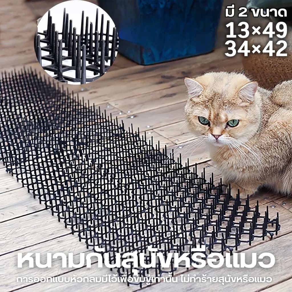 หนามไล่แมว ที่กันแมว พื้นหนามไล่สุนัข พื้นหนามไล่แมว ไล่หมาขี้หน้าบ้าน ปลอดภัยที่ไล่แมว ไล่แมว ป้องกันสุนัขถ่ายหน้าบ้าน (อัปเดท 2025)