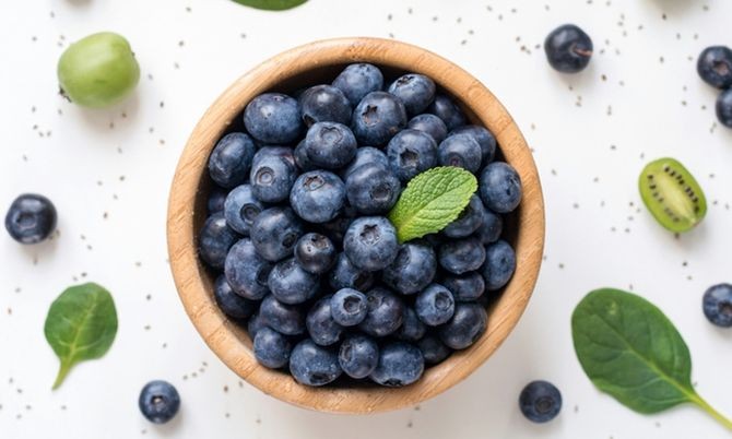 5 เรื่องไม่รู้ไม่ได้ ก่อนให้น้องหมากิน บลูเบอร์รี่ (2026)