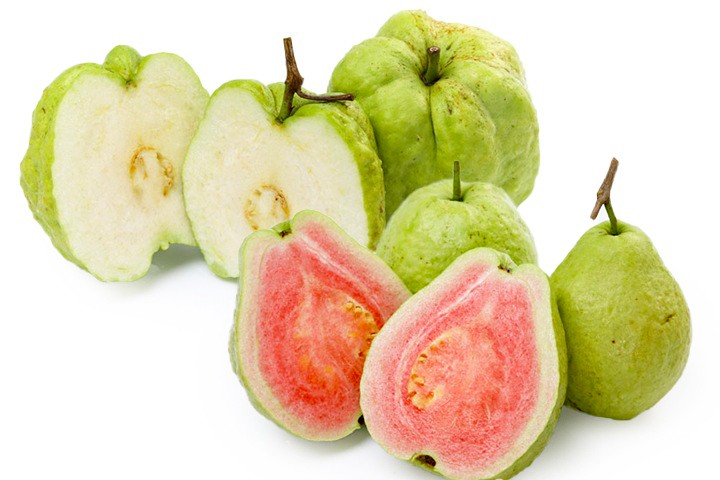 5 เรื่องไม่รู้ไม่ได้ ก่อนให้น้องหมากิน ฝรั่ง (2026)