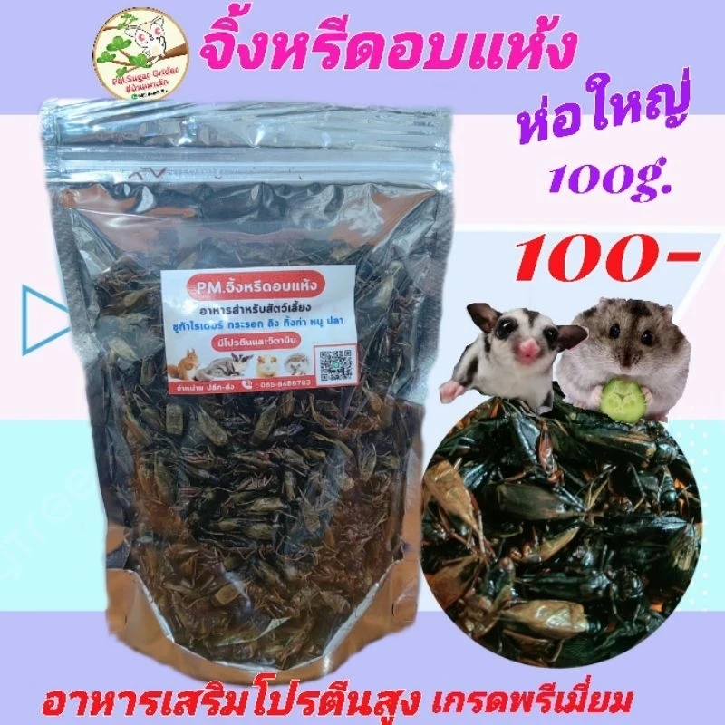 5 เหตุผลที่คุณควรเลือกซื้อ "จิ้งหรีดอบแห้งห่อใหญ่ อาหารแฮมส์เตอร์ อาหารชูก้า อาหารเม่นแคระ อาหารสัตว์เกรดพรีเมี่ยม จิ้งหรีดอบแห้ง100g." (อัปเดท 2025)