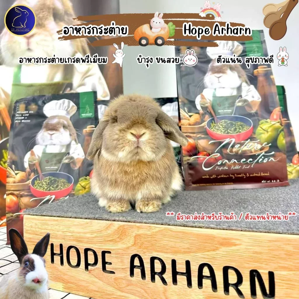 5 เหตุผลที่คุณควรเลือกซื้อ "Hope Arharn อาหารกระต่าย พรีเมี่ยม สูตรประกวด บำรุงขนนุ่มแน่น สุขภาพแข็งแรง" (อัปเดท 2025)