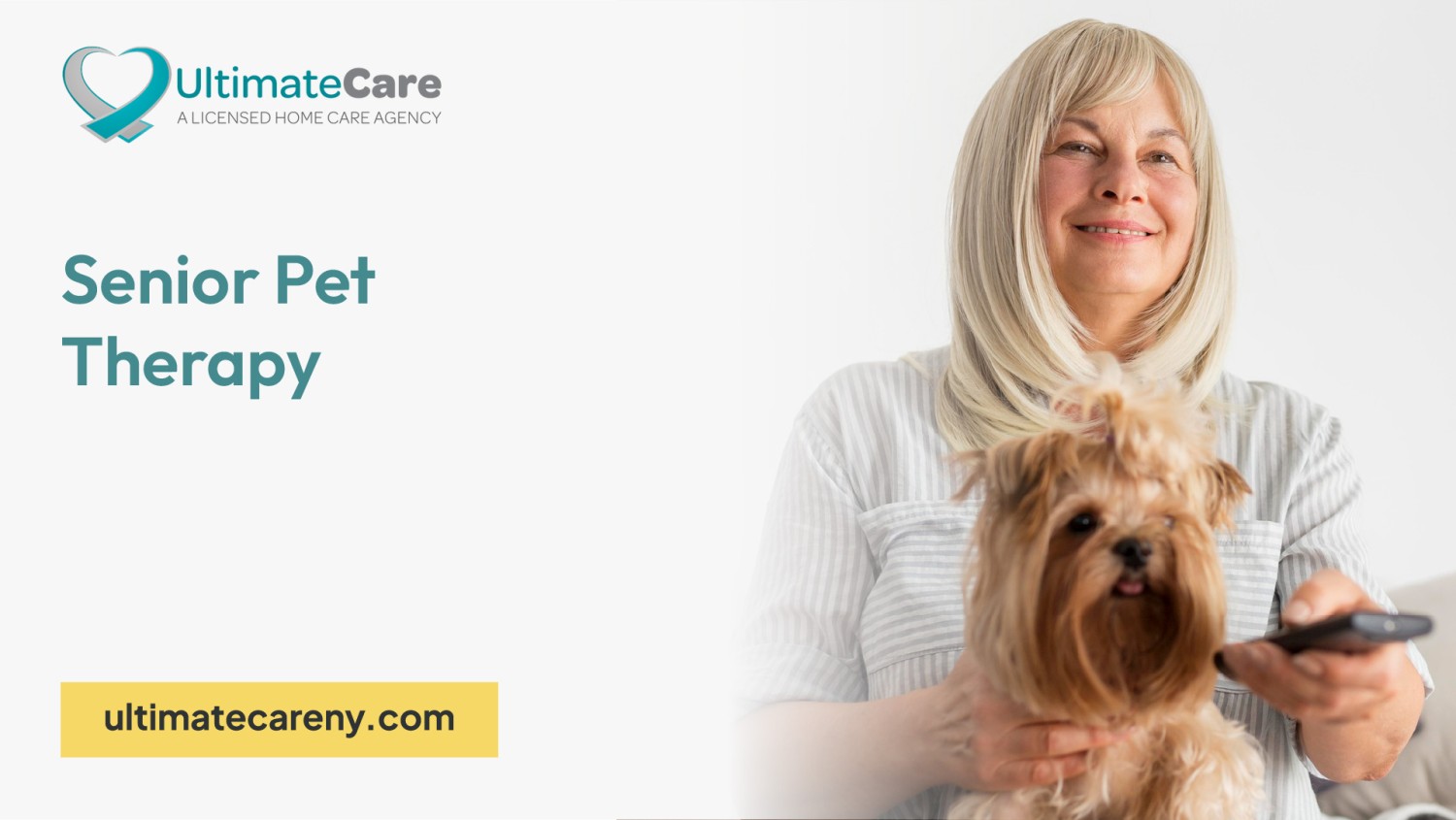 เปิด 5 สถิติน่ารู้ “ดูแลหมาสูงวัยแบบมืออาชีพ” แค่เข้าใจก็ทำให้เขาสุขได้ทุกวัน (อัปเดท 2025)