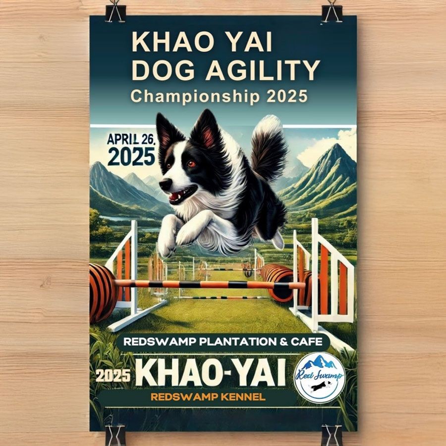 Khaoyai Dog Agility Championship 2025 (อัปเดท 2025)