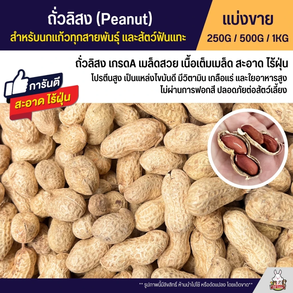5 เหตุผลที่คุณควรเลือกซื้อ "ถั่วลิสง Peanut เกรดA นำเข้า อาหารนกแก้ว อาหารหนูแฮมสเตอร์ และสัตว์ฟันแทะ" (อัปเดท 2025)