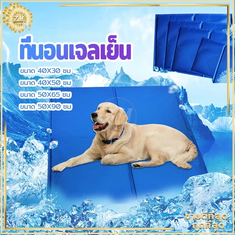 5 เหตุผล ที่คุณต้องซื้อที่นอนเย็นสำหรับสัตว์เลี้ยงของคุณ - 2025 (อัปเดท 2025)