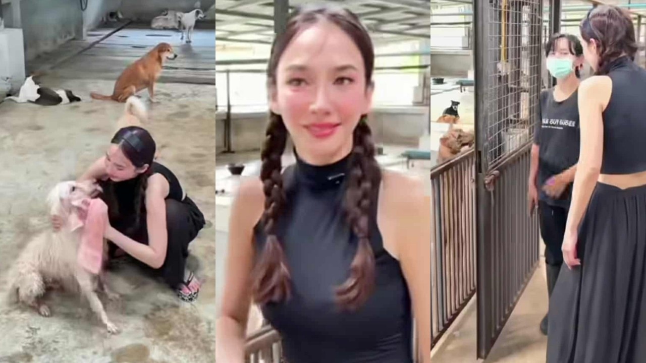 5 เรื่องไม่รู้ไม่ได้ กับ อั้ม พัชราภา นางฟ้าของน้องหมา