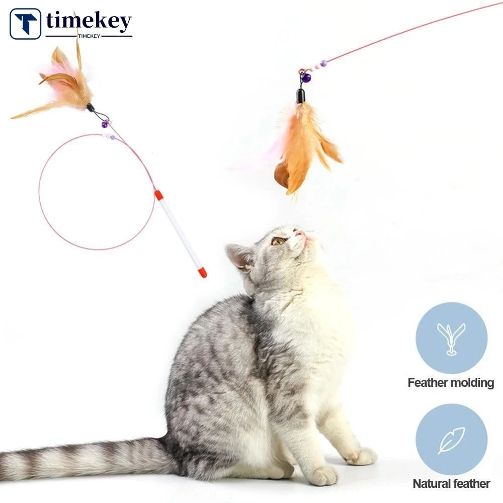 5 เหตุผลที่คุณควรเลือกซื้อ Timekey แมว Interactive (อัปเดท 2025)