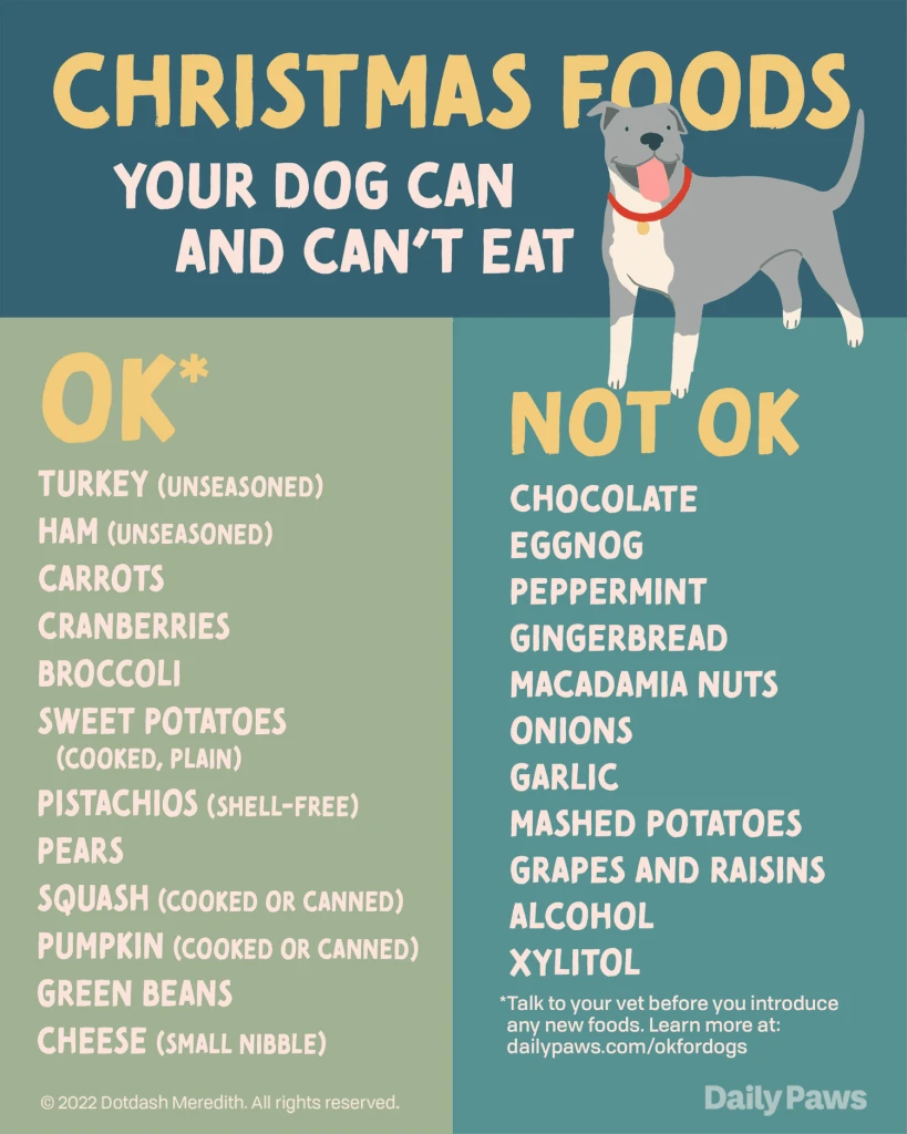 รู้ 5 เรื่องสำคัญ! น้องหมากินอะไรได้บ้าง? อย่าให้ความน่ารักกลายเป็นภัยเงียบ (อัปเดท 2025)