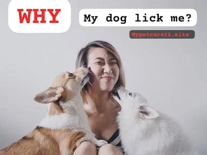 5 เรื่องที่คุณควรรู้ ถ้าอยาก “สนิทกับน้องหมามากขึ้น” แบบรักกันไม่ต้องพยายาม (อัปเดท 2025)