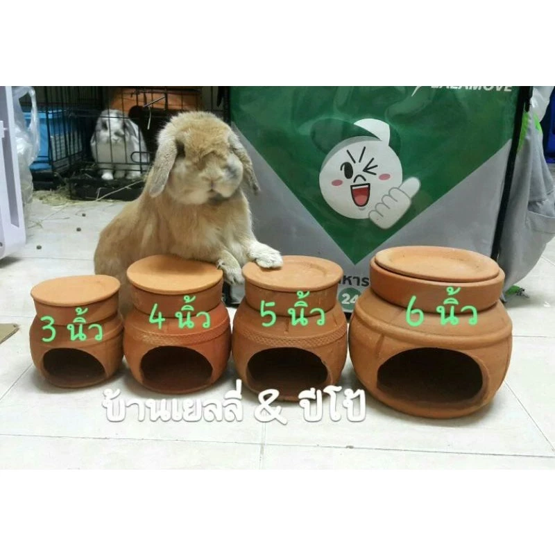 5 เหตุผลที่คุณควรเลือกซื้อ "บ้านแอร์ดินเผาหนูแมสเตอร์ ชูก้า และสัตว์ฟันแทะไซต์เล็ก" (อัปเดท 2025)