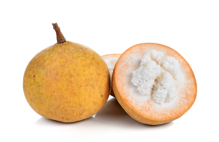 5 เรื่องไม่รู้ไม่ได้ ก่อนให้น้องหมากิน กระท้อน (2026)