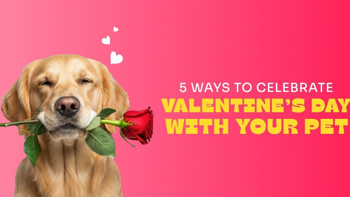 5 เรื่องที่คุณควรรู้ ก่อนวางแผน “วาเลนไทน์นี้กับสัตว์เลี้ยงแสนรัก” ให้เป็นวันที่น่าจดจำ (อัปเดท 2025)