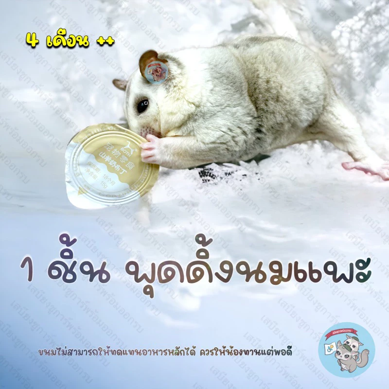 5 เหตุผลที่คุณควรเลือกซื้อ "GOAT MILK PUDDING พุดดิ้ง นมแพะ นมแพะอัดเม็ด ขนม อาหาร ชูการ์ สัตว์เล็ก แมว แฮมสเตอร์" (อัปเดท 2025)
