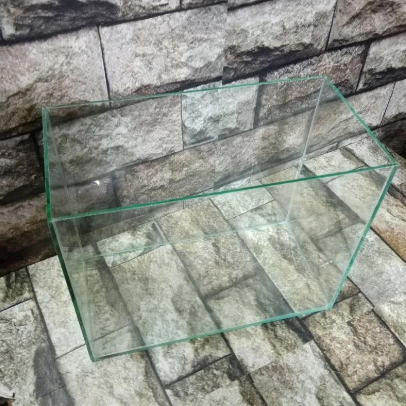 5 เหตุผลที่คุณควรเลือกซื้อ "โหลปลา ตู้กุ้ง ตู้ปลา 10 นิ้ว ขนาด 5x10x8 นิ้ว กระจกหนา 3 มิล" (อัปเดท 2025)