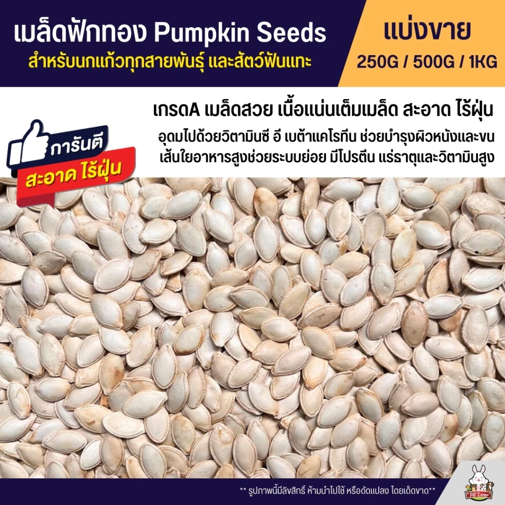 5 เหตุผลที่คุณควรเลือกซื้อ "เมล็ดฟักทอง Pumpkin Seeds เกรดA อาหารนกแก้ว หนูแฮมสเตอร์ และสัตว์ฟันแทะ" (อัปเดท 2025)