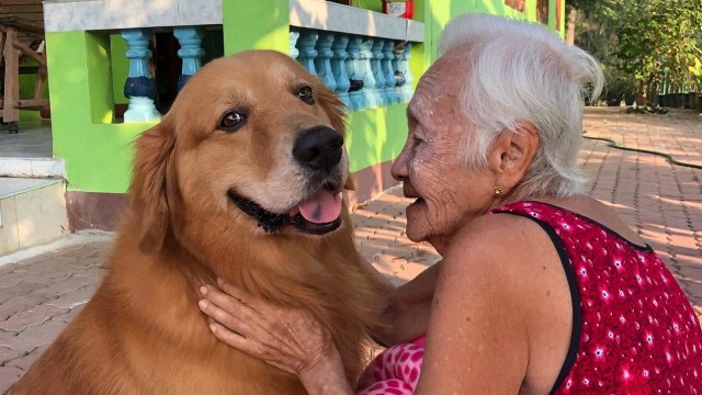 5 เรื่องที่คุณควรรู้ "หมานิสัยดี น่ากอดที่สุด รวมสายพันธุ์ที่ใครก็หลงรัก" (อัปเดท 2025)