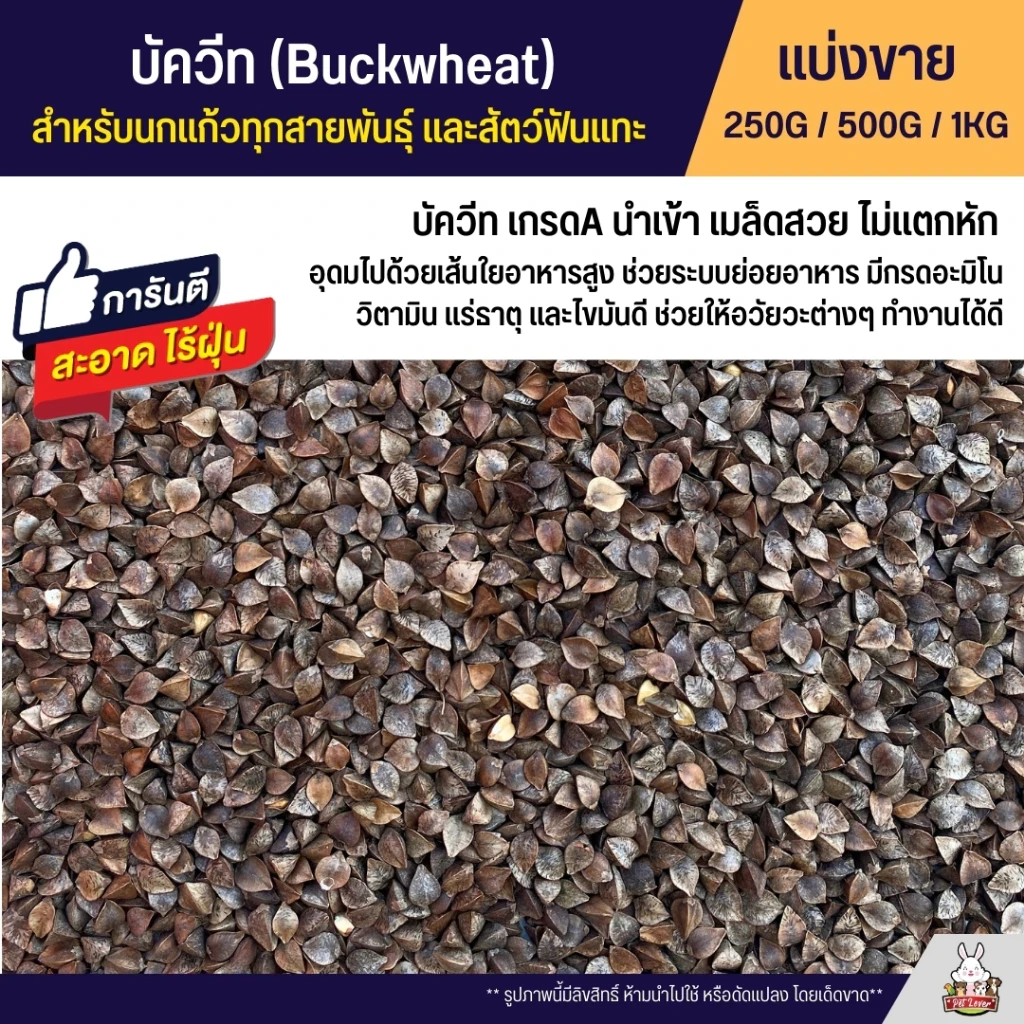 5 เหตุผลที่คุณควรเลือกซื้อ "บัควีท Buckwheat เกรดA บัควีตอาหารนกแก้ว และสัตว์ฟันแทะ" (อัปเดท 2025)