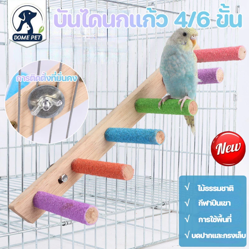 5 เหตุผลที่คุณควรเลือกซื้อ "COD บันไดนกแก้ว 4/6/8 ขั้น" (อัปเดท 2025)