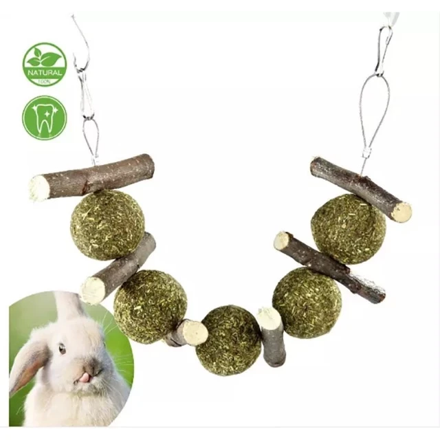 5 เหตุผลที่คุณควรเลือกซื้อม้ลับฟันกระต่ายและคุ้กกี้หญ้า – ของเล่นกระต่ายสำหรับดูแลฟันและสุขภาพปาก (อัปเดท 2025)