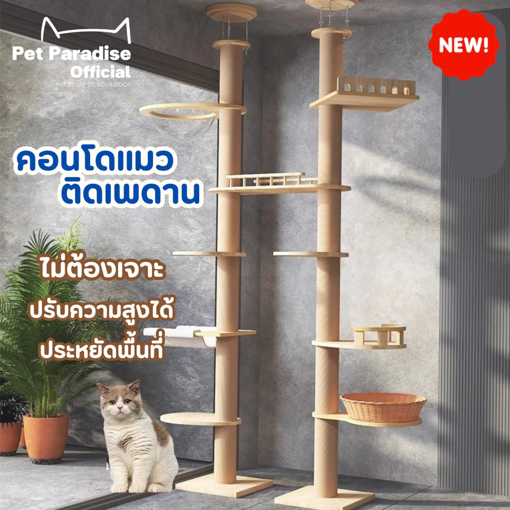 5 เหตุผลที่คุณควรเลือกซื้อคอนโดแมวติดเพดาน แท่นเสาปีนป่าย (อัปเดท 2025)