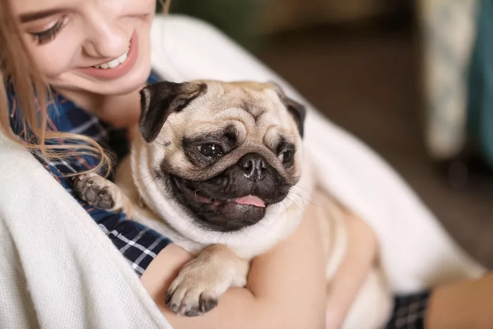 5 เรื่องที่คุณควรรู้ ถ้าคุณกำลังจะเลี้ยงหมาครั้งแรกในชีวิต (อัปเดท 2025)