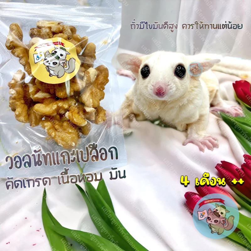 5 เหตุผลที่คุณควรเลือกซื้อ "WALNUT วอลนัท วอลนัต แกะเปลือก อาหาร ขนม สัตว์ฟันแทะ สัตว์เลี้ยง สัตว์เล็ก ชูการ์ กระรอก แฮมสเตอร์" (อัปเดท 2025)