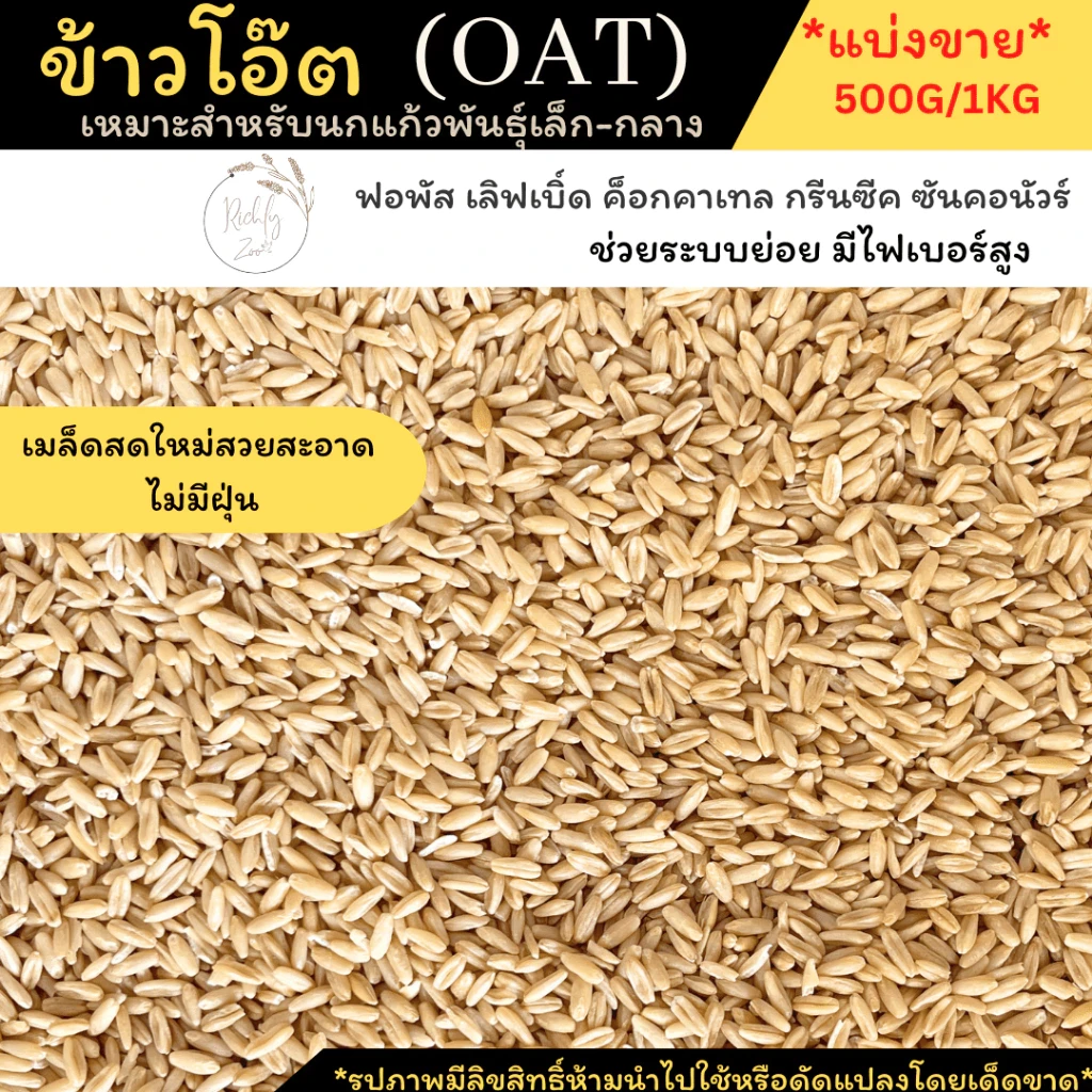 5 เหตุผลที่คุณควรเลือกซื้อ "ข้าวโอ๊ต (Oat) คัดเกรด – อาหารเสริมสำหรับนก" (อัปเดท 2025)
