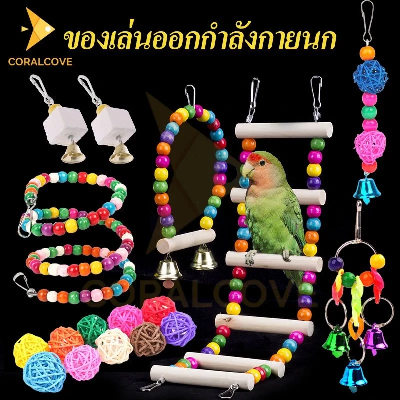 5 เหตุผลที่คุณควรเลือกซื้อ "coralcoveshop ของเล่นนก" (อัปเดท 2025)