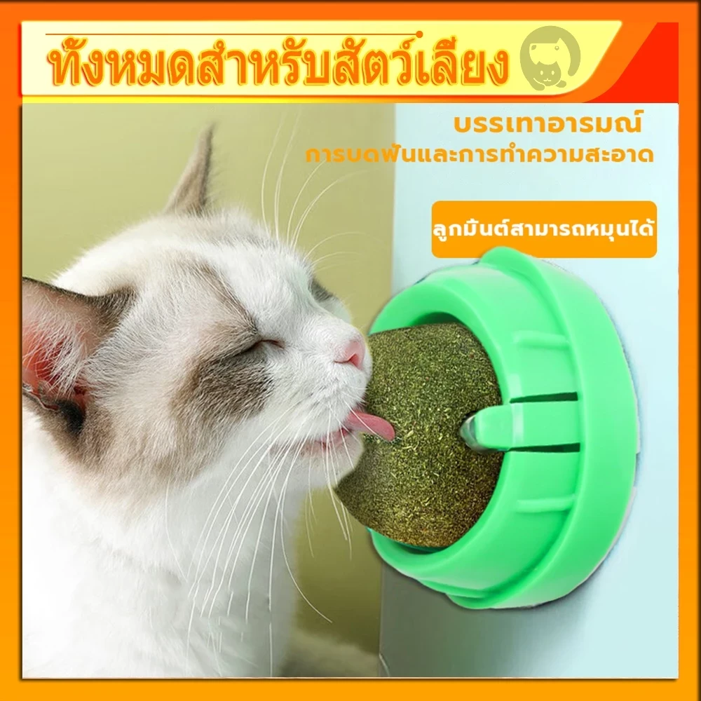 5 เหตุผลที่คุณควรเลือกซื้อ "กัญชาแมว แคทนิปแมว catnip ball กันชาแมวส่งฟรี กัชชาแมว กันชาแมวเลีย แคทนิปบอล ติดกำแพง" (อัปเดท 2025)
