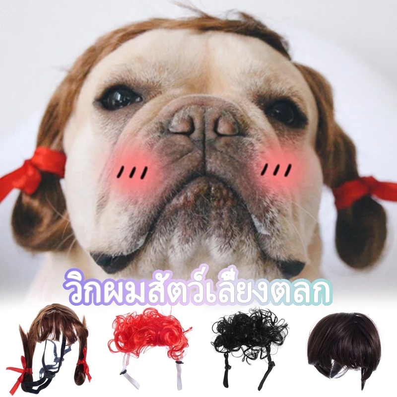 5 เหตุผลที่คุณควรเลือกซื้อวิกผมสัตว์เลี้ยง (อัปเดท 2025)