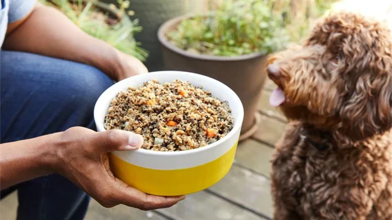 5 เรื่องน่าตกใจเกี่ยวกับ “อาหารสุนัขออร์แกนิก” ที่เจ้าของไม่เคยรู้ (อัปเดท 2025)