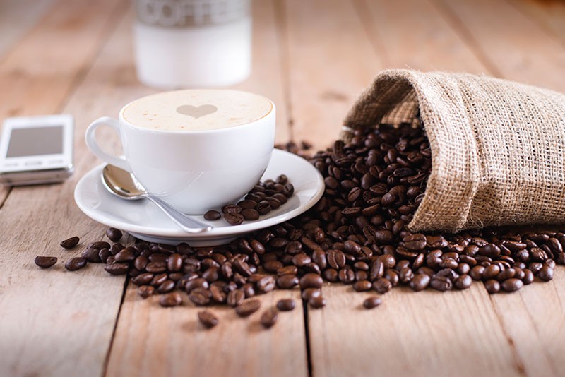 5 เรื่องไม่รู้ไม่ได้ ก่อนให้น้องหมากิน กาแฟ (2026)