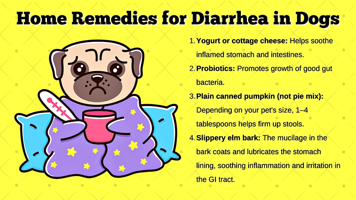 5 วิธีดูแลท้องหมาแมวให้แฮปปี้ ขี้ไม่เครียด 2025 (อัปเดท 2025)