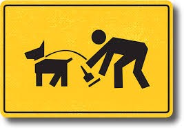 5 เรื่องที่คุณควรรู้ ก่อนจะทิ้งอึหมาแบบผิดๆ โดยไม่รู้ตัว! (อัปเดท 2025)