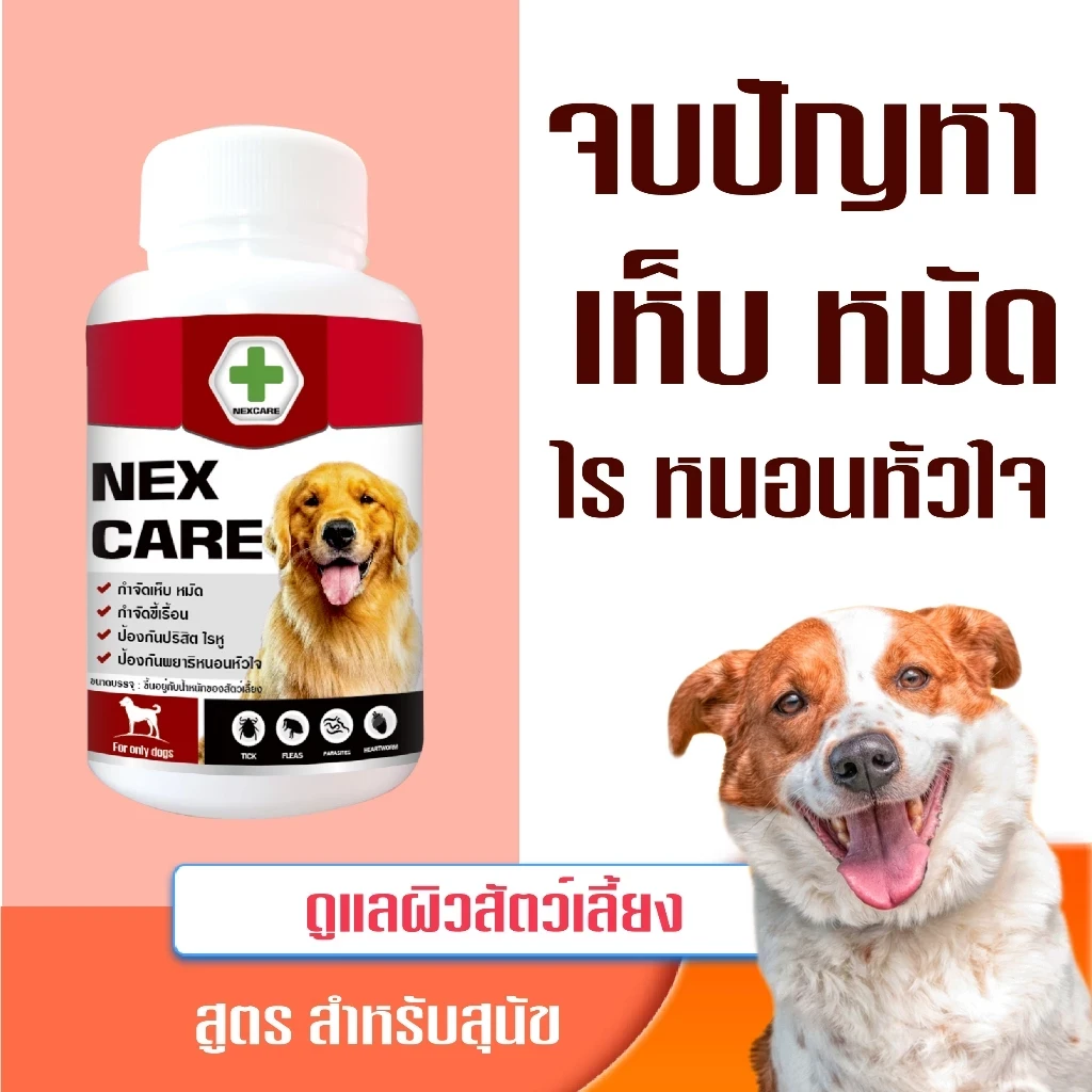 5 เหตุผลที่คุณควรเลือกซื้อ "NEXCARE เสริมอาหารสัตว์เลี้ยง เสริมภูมิคุ้มกัน ดูแลผิวสุนัข เห็บ-หมัด สำหรับสุนัข" (อัปเดท 2025)