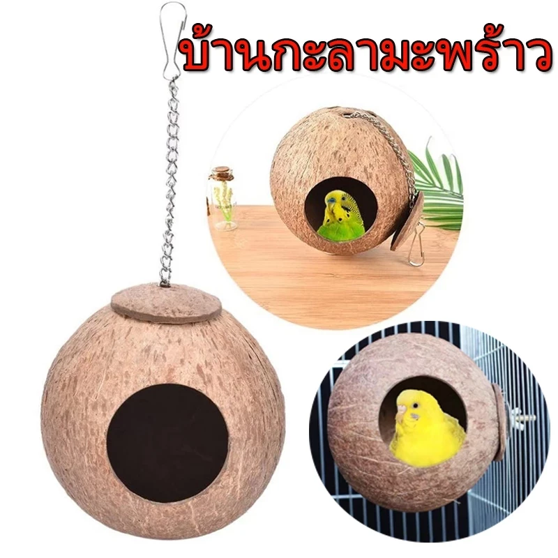 5 เหตุผลที่คุณควรเลือกซื้อ "บ้านกะลา บ้านนก รังนก กะลามะพร้าว ที่นอนสัตว์ รังชูก้า หนู กระรอก ปากกว้าง 6ซม" (อัปเดท 2025)