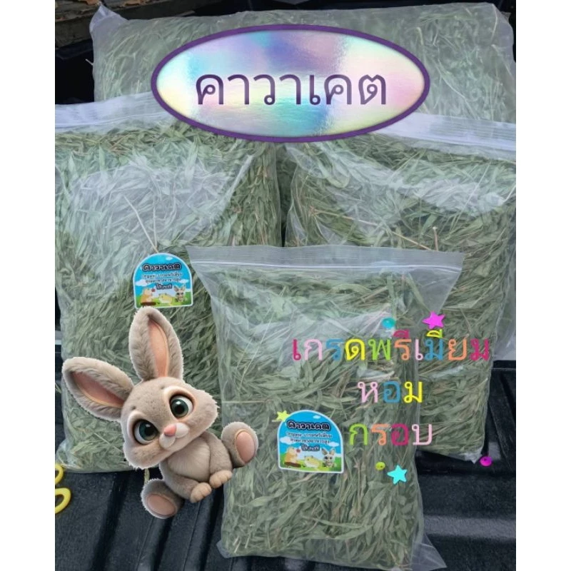 5 เหตุผลที่คุณควรเลือกซื้อ "หญ้าถั่วคาวาเคต Premium หญ้ากระต่าย อาหารสัตว์ฟันแทะ" (อัปเดท 2025)