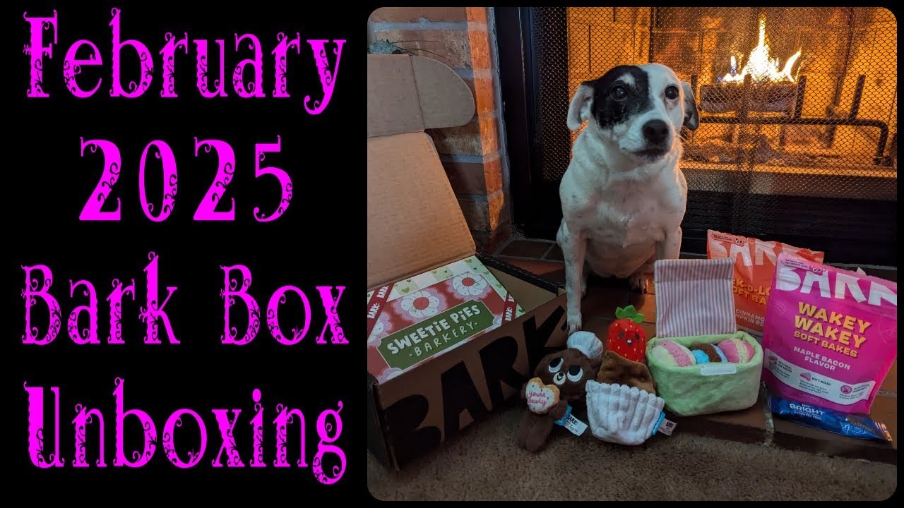 5 ความลับ BarkBox ที่ทำให้หมายิ้มจนหูตั้ง! 2025 (อัปเดท 2025)