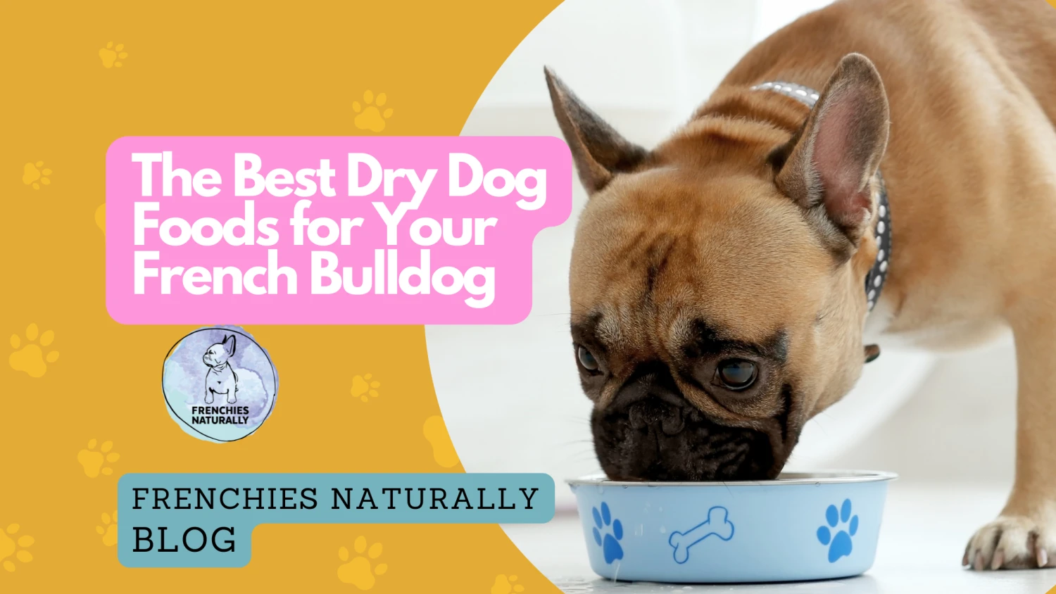 5 เรื่องอาหารสุนัขเฟรนช์บูลด็อก ที่คุณไม่รู้…อาจพลาดจนต้องน้ำตาตก! (อัปเดท 2025)